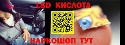 крисы Пенза