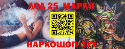 крисы Пенза