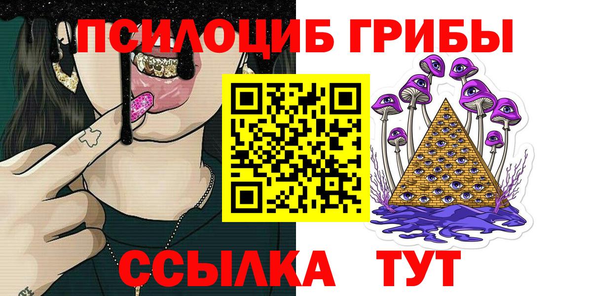 где можно купить наркотик  Псилоцибиновые грибы Psilocybine cubensis  Вход с VPN  Прохладный 