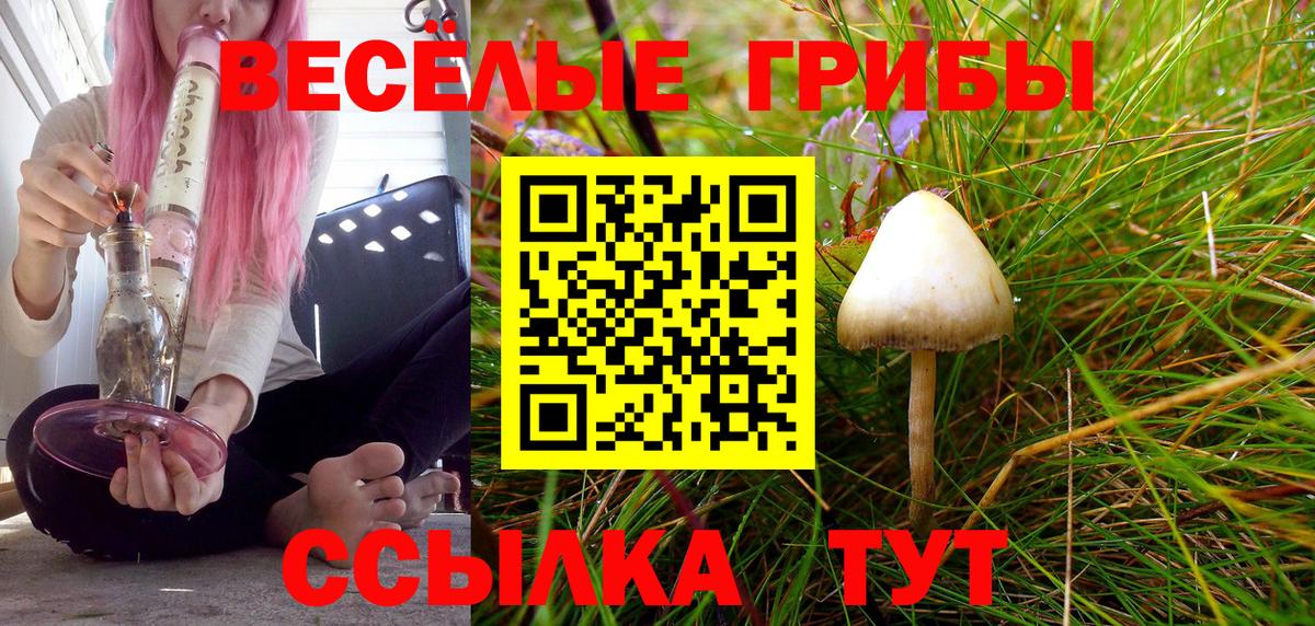 Галлюциногенные грибы GOLDEN TEACHER Прохладный